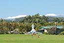 Big Island Mauna Kea - Palm Valley Farm's Big Island Hawaii Vacation Rental Favorite