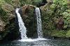 Find Big Island Hawaii vacation rental accommodations at Palm Valley Farm